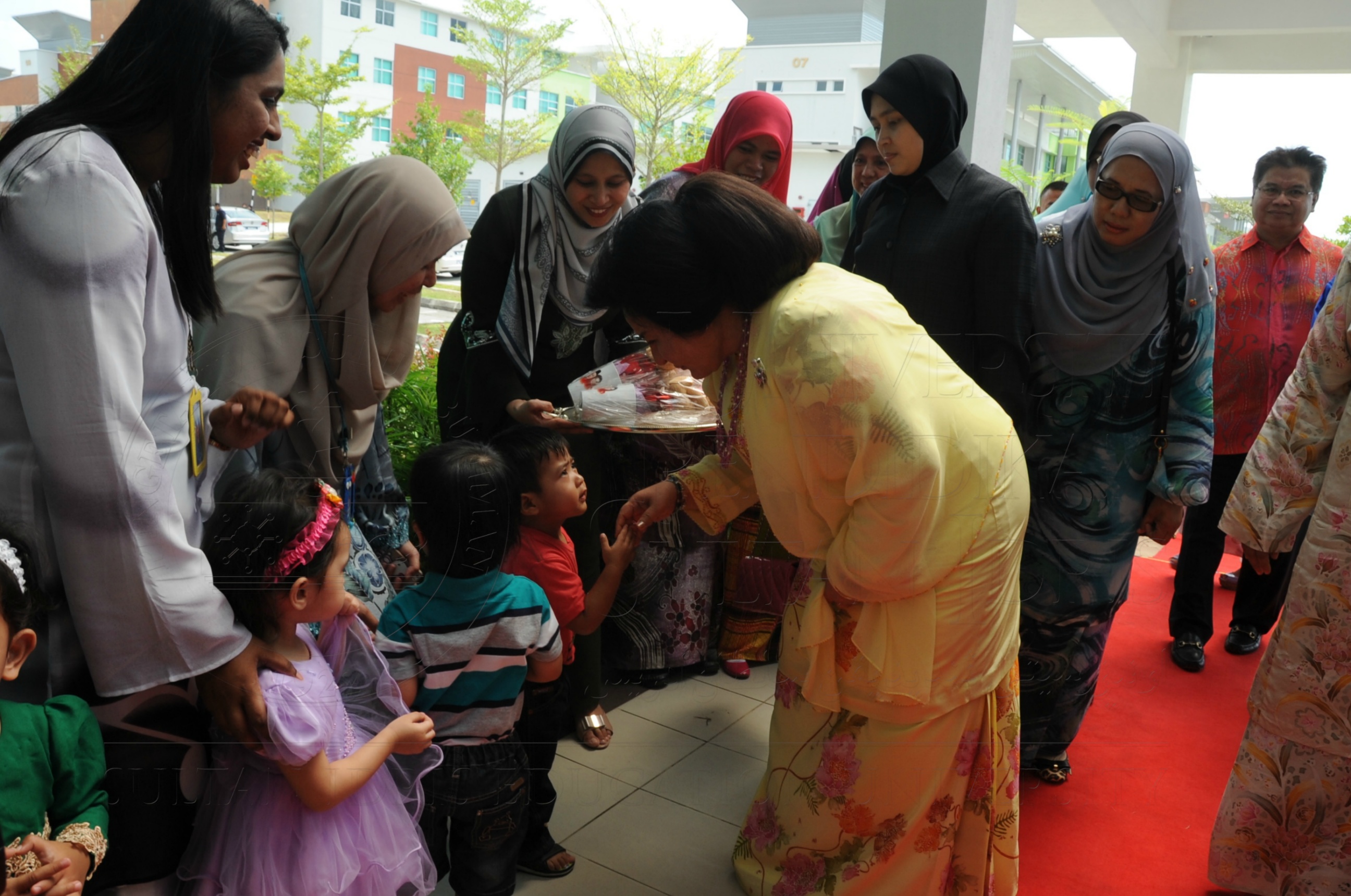 PRO16 32 NCDC HAS 3369